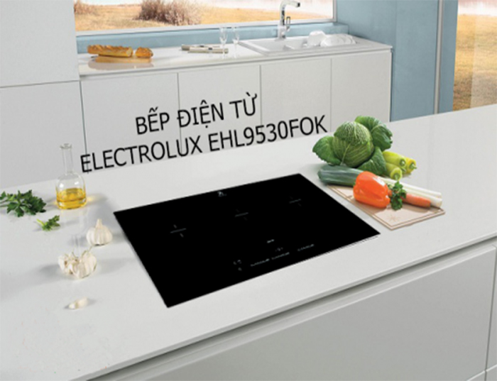 Electrolux EHL9530FOK thiết kế hiện đại