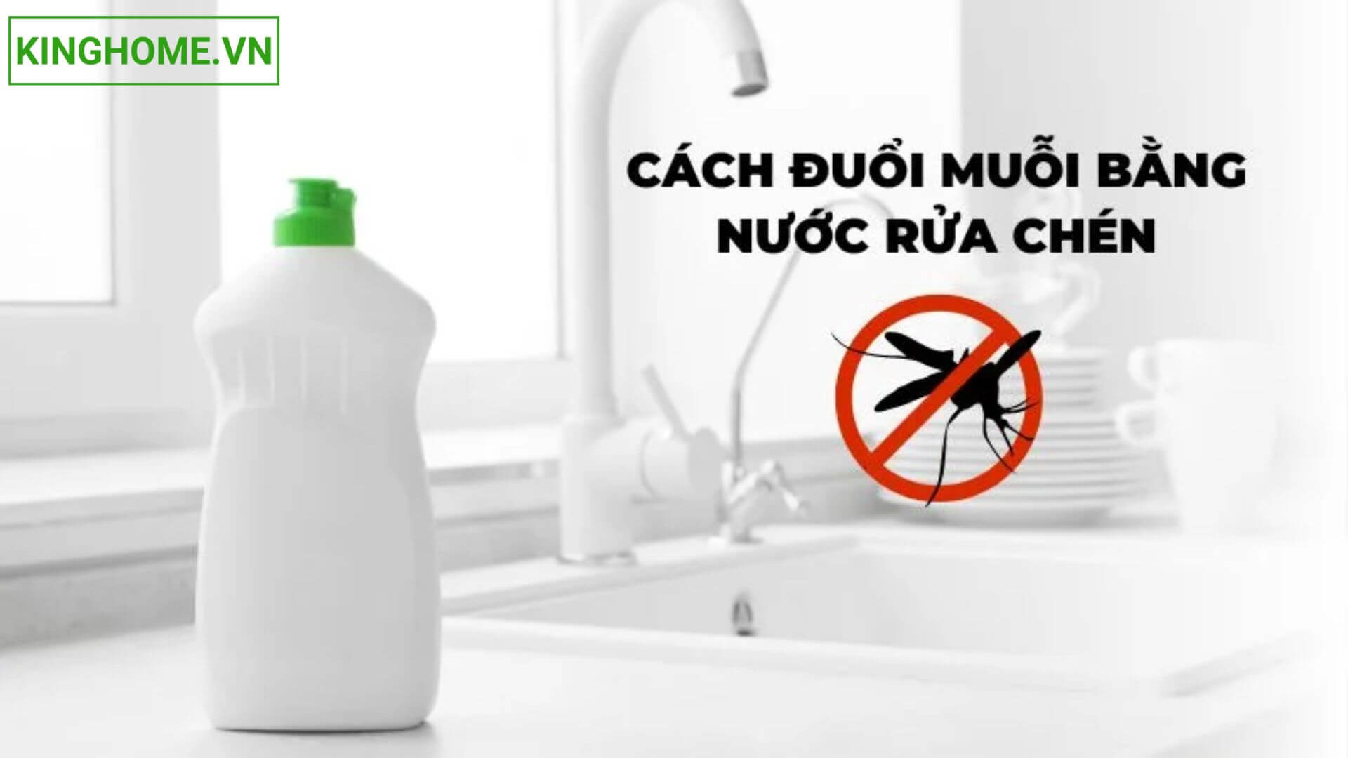 Đuổi muỗi bằng nước rửa chén bát, nước xả vải, nước lau nhà