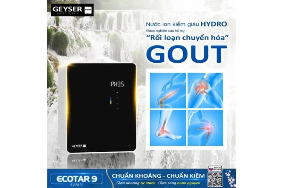 Máy lọc nước ion kiềm giàu hydro Geyser Ecotar 9 Slim V