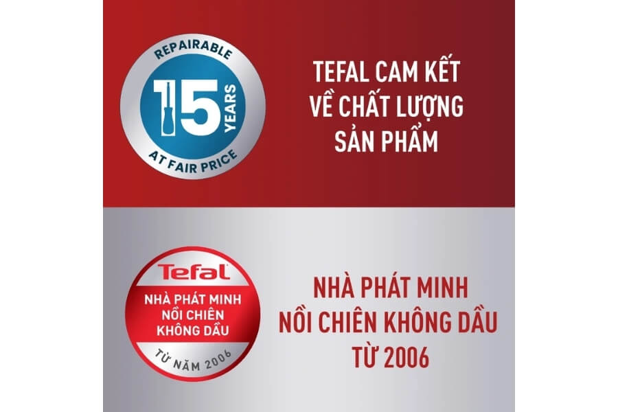 Nồi chiên không dầu điện tử Tefal Dual Easy Fry & Grill EY905D10