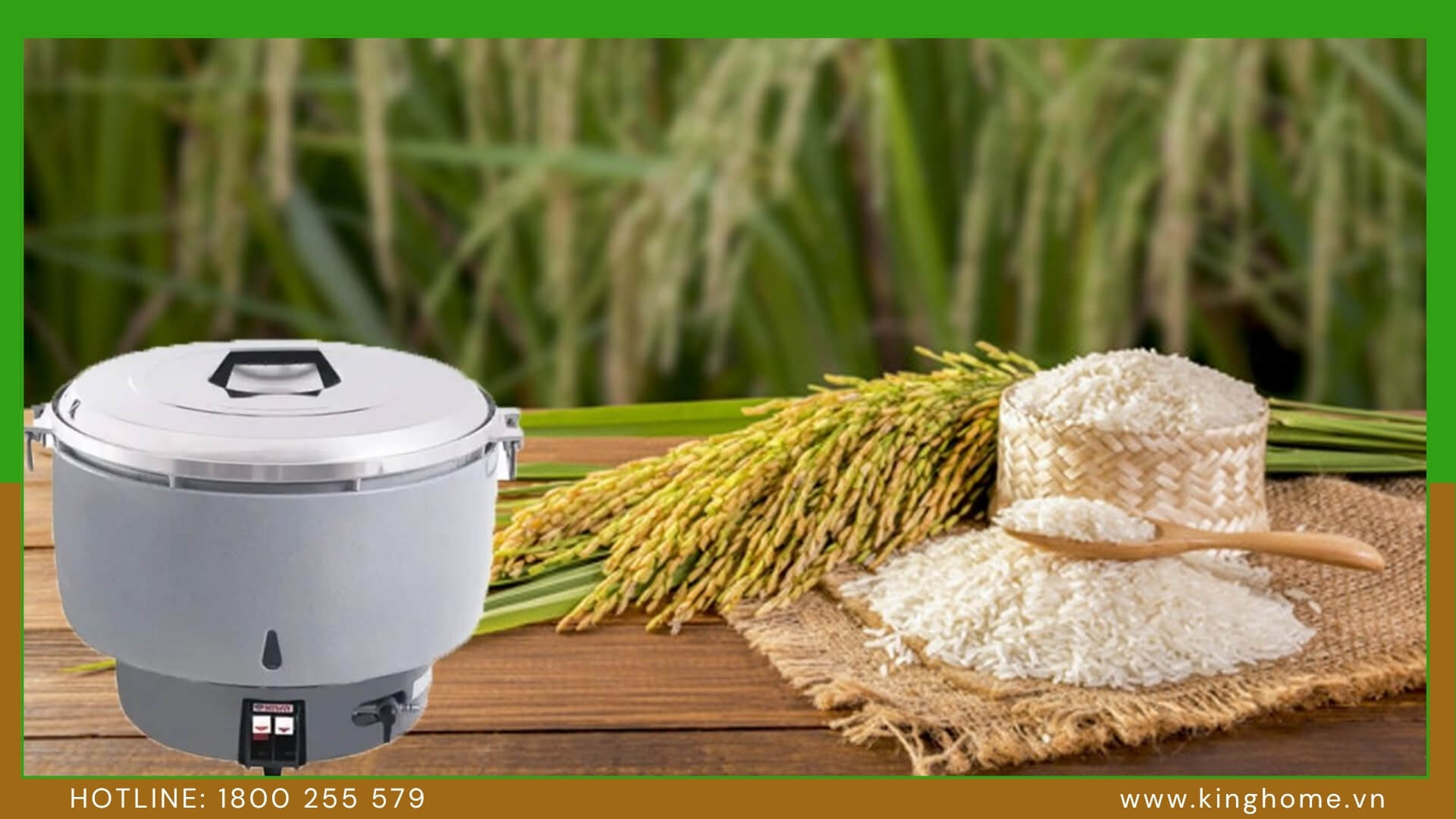 Quán cơm 50-90 suất nên chọn nồi cơm gas thế nào? Đánh giá Kiwa MK-90RA