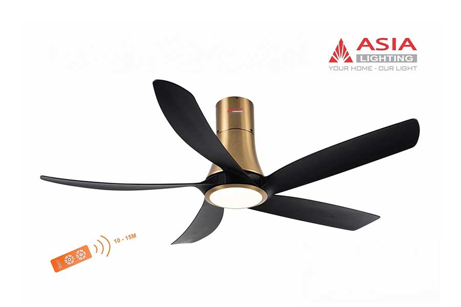 Quạt trần 5 cánh màu đen vàng Asia Lighting QT14-DV