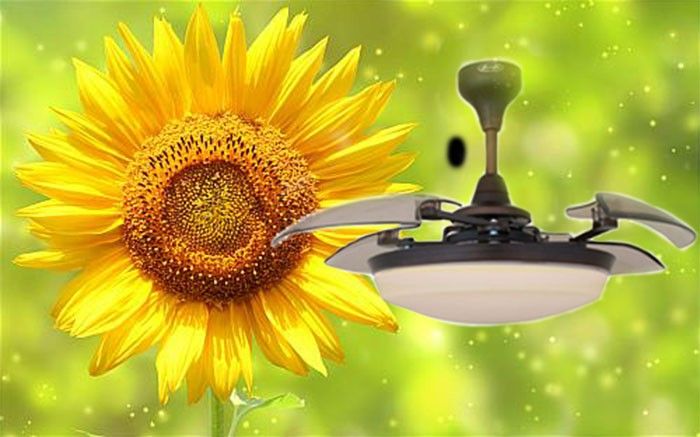 Quạt trần trang trí AlphaFan Sunflower với hình dáng hoa hướng dương