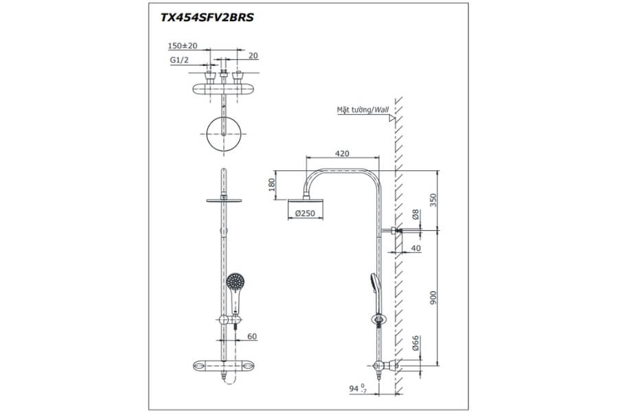 Sen tắm nhiệt độ Toto TX454SFV2BRN