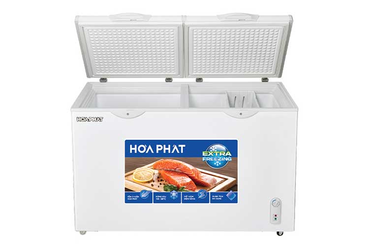 Tủ đông Hòa Phát HPF BN6271 271 lít