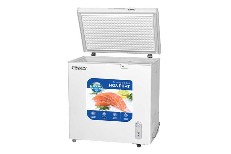 Tủ đông Hòa Phát HPF AD6162 162 lít