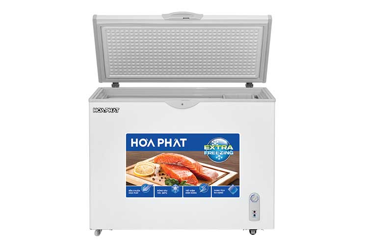 Tủ đông Hòa Phát HPF AD6252 252 lít