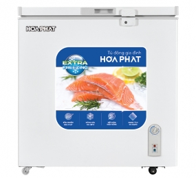 Tủ đông Hòa Phát HPF AN6162 162 lít