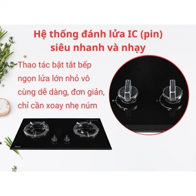 Bếp gas âm Rinnai RVB-2iFC(B)