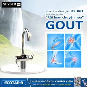 Máy lọc nước ion kiềm giàu hydro Geyser Ecotar 9 Lux