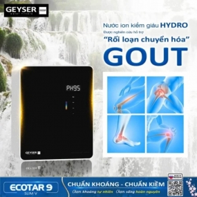 Máy lọc nước ion kiềm giàu hydro Geyser Ecotar 9 Slim V