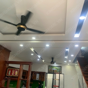 Quạt trần Panasonic 4 cánh F-56XPG