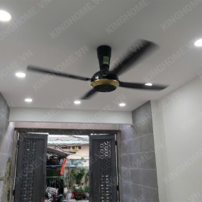 Quạt trần Panasonic 4 cánh F-56XPG