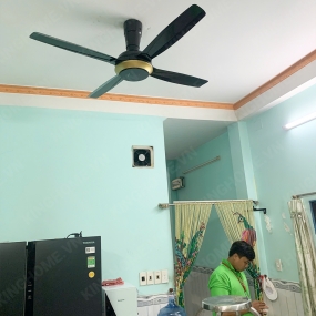 Quạt trần Panasonic 4 cánh F-56XPG