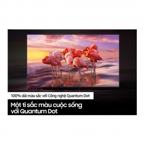 Smart Tivi Samsung QLED 4K 50 inch QA50Q60BAKXXV