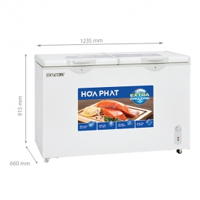 Tủ đông Hòa Phát HCF 656S2Đ2 271 lít