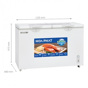 Tủ đông Hòa Phát HPF BD6245 245 lít