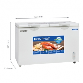 Tủ đông Hòa Phát Inverter HCFI 656S2Đ2 271 lít