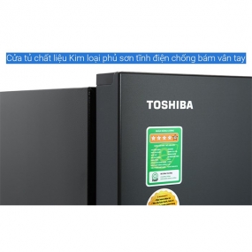 Tủ lạnh Toshiba Inverter 322 lít GR-RB405WE-PMV(06)-MG