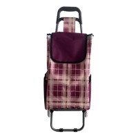 Xe kéo đi chợ kèm túi tiện lơi FujiHome ST-30AF