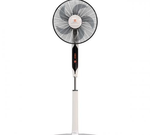 Quạt cây Hawonkoo AC FAH-011